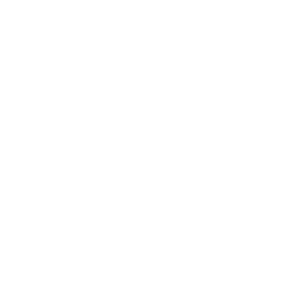 logo white